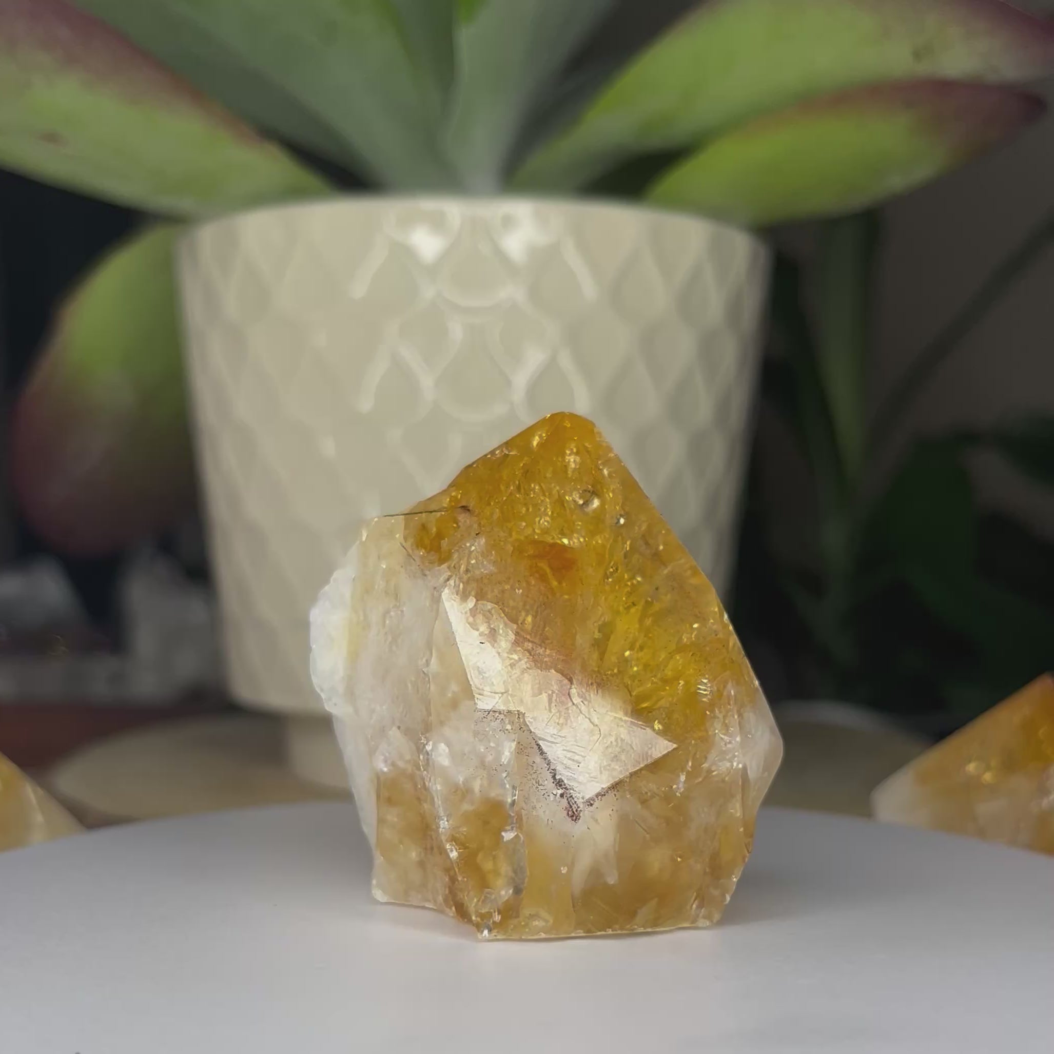 Citrine Cut Base Point (Heat Treated) - Abundance & Success