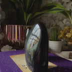 Rainbow Obsidian Freeform