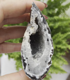 Oco Agate Druzy Geode Halves