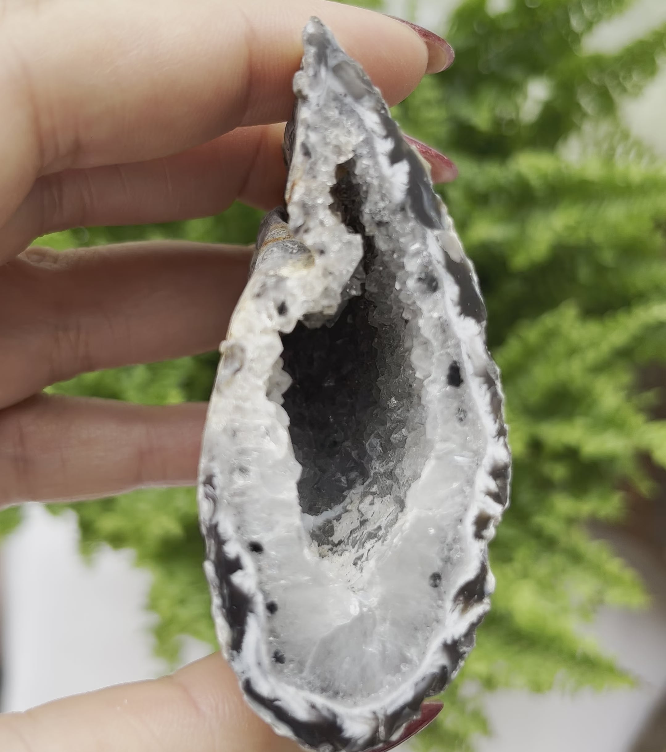 Oco Agate Druzy Geode Halves