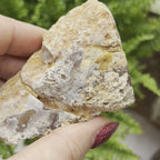 Oco Agate Druzy Geode Halves