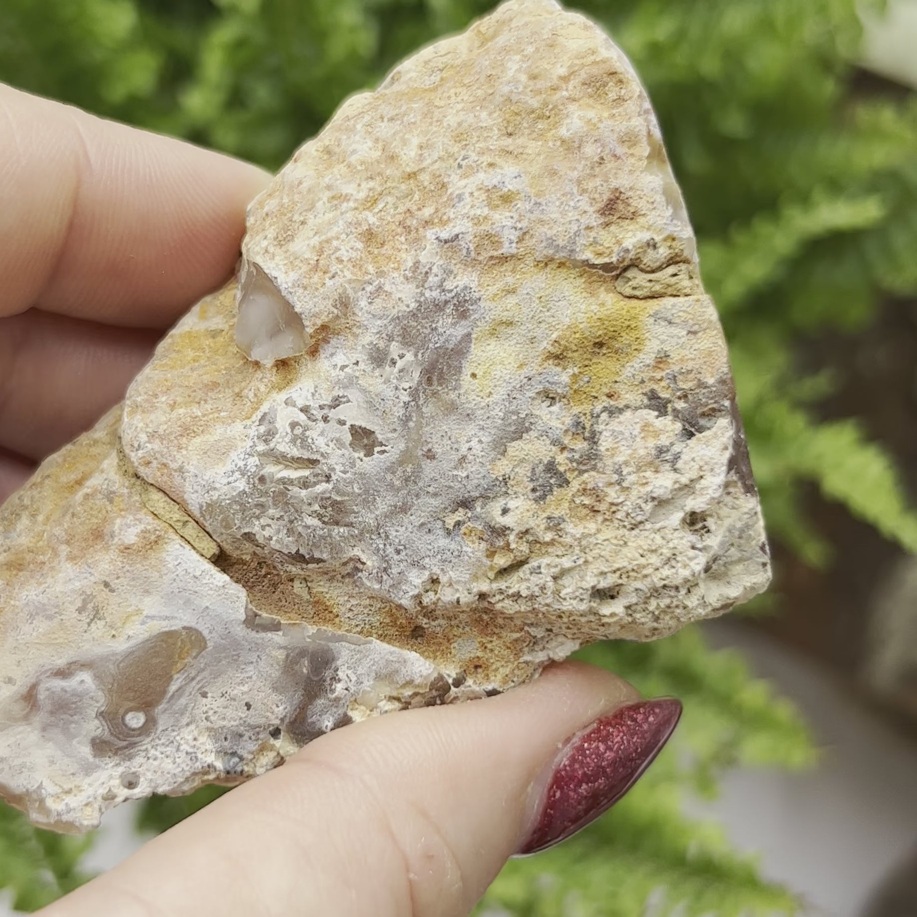 Oco Agate Druzy Geode Halves