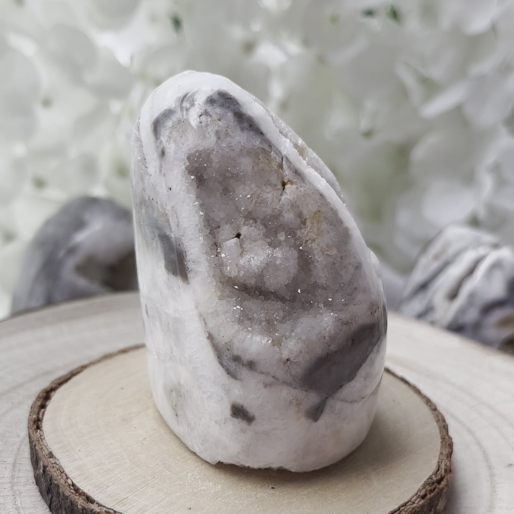 Zebra Agate Druzy Freeform