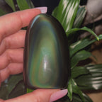 Rainbow Obsidian Freeform