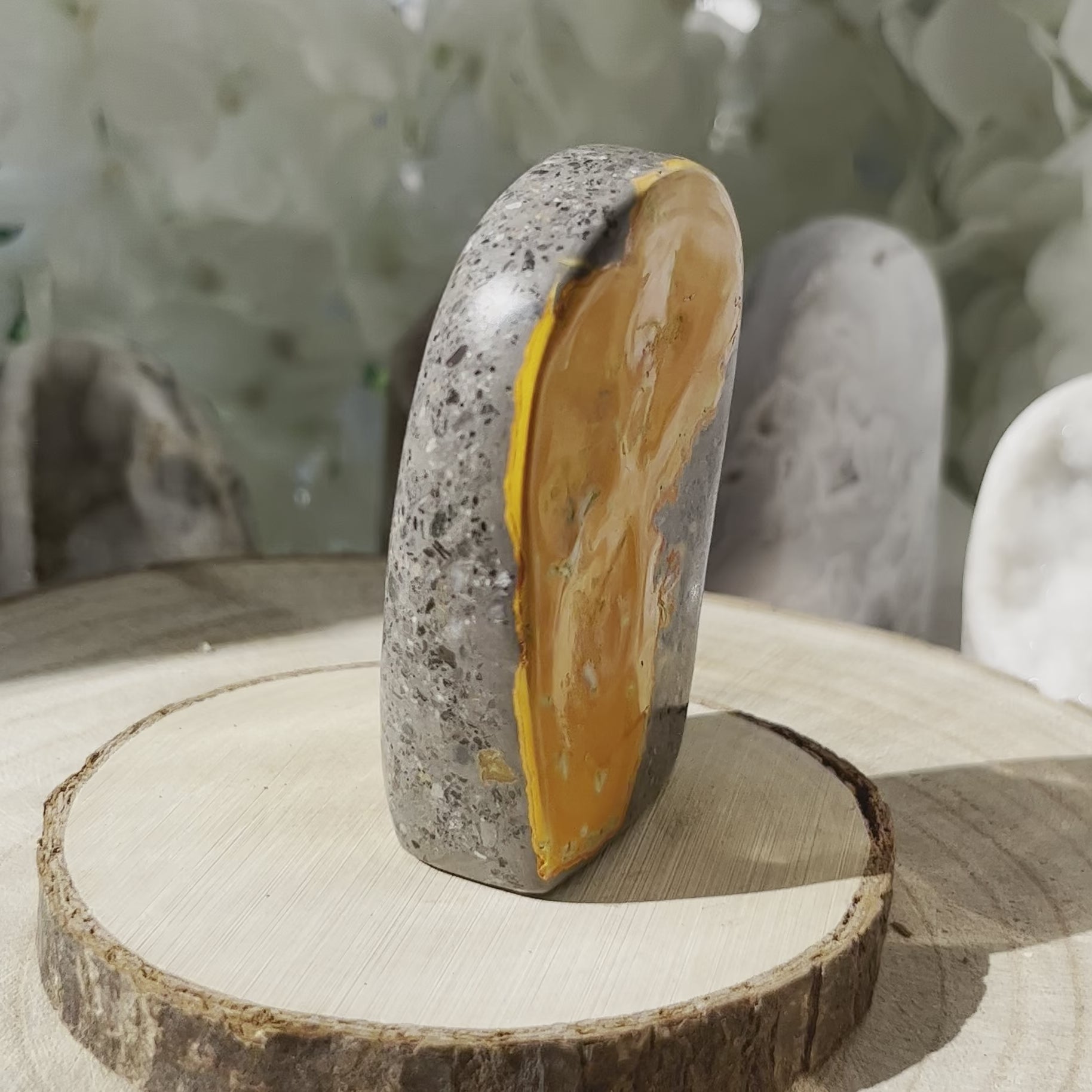 Bumblebee Jasper Freeform