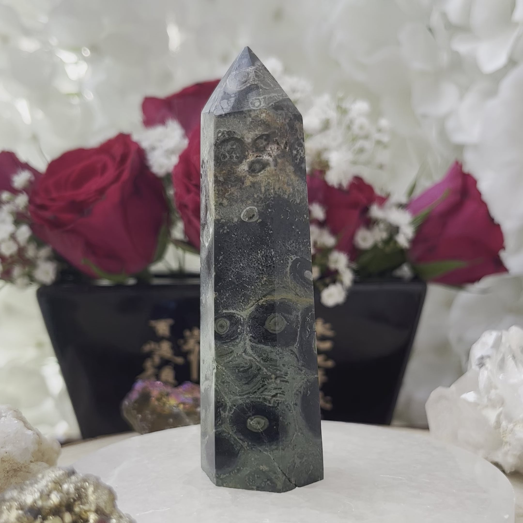 Kambaba (Crocodile) Jasper Point - Calm & Harmony