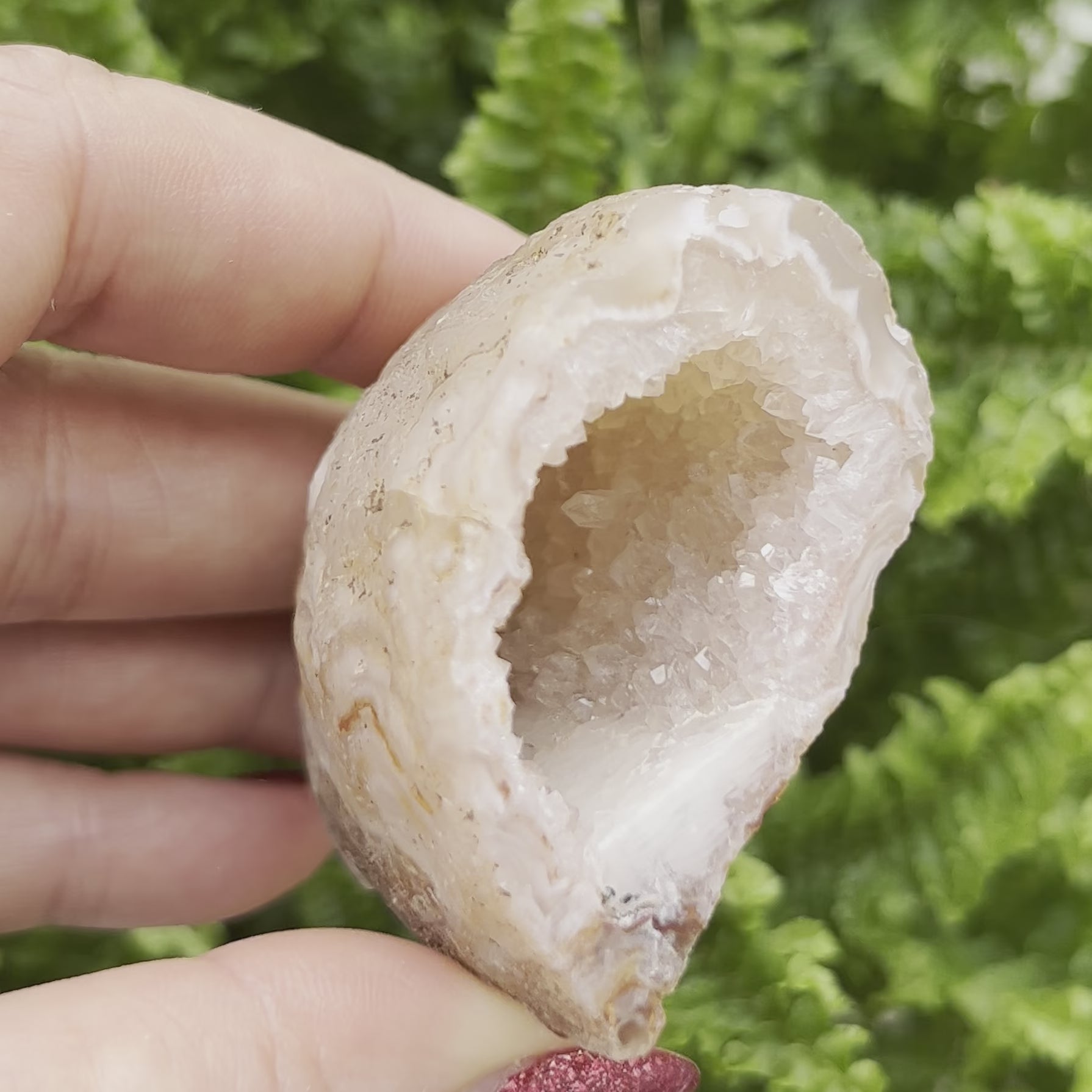Oco Agate Druzy Geode Halves
