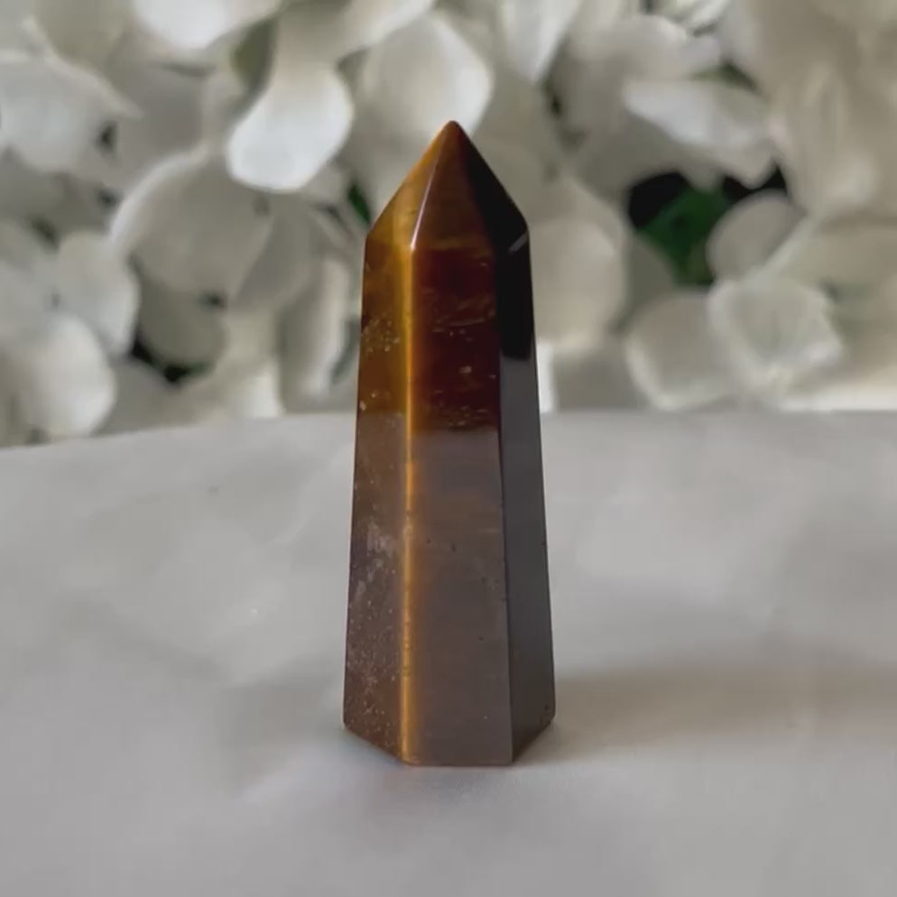 Tiger Eye Point - Courage & Protection