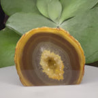 Natural Agate Cut Base Geode - Balance & Harmony