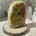 Bumblebee Jasper Freeform