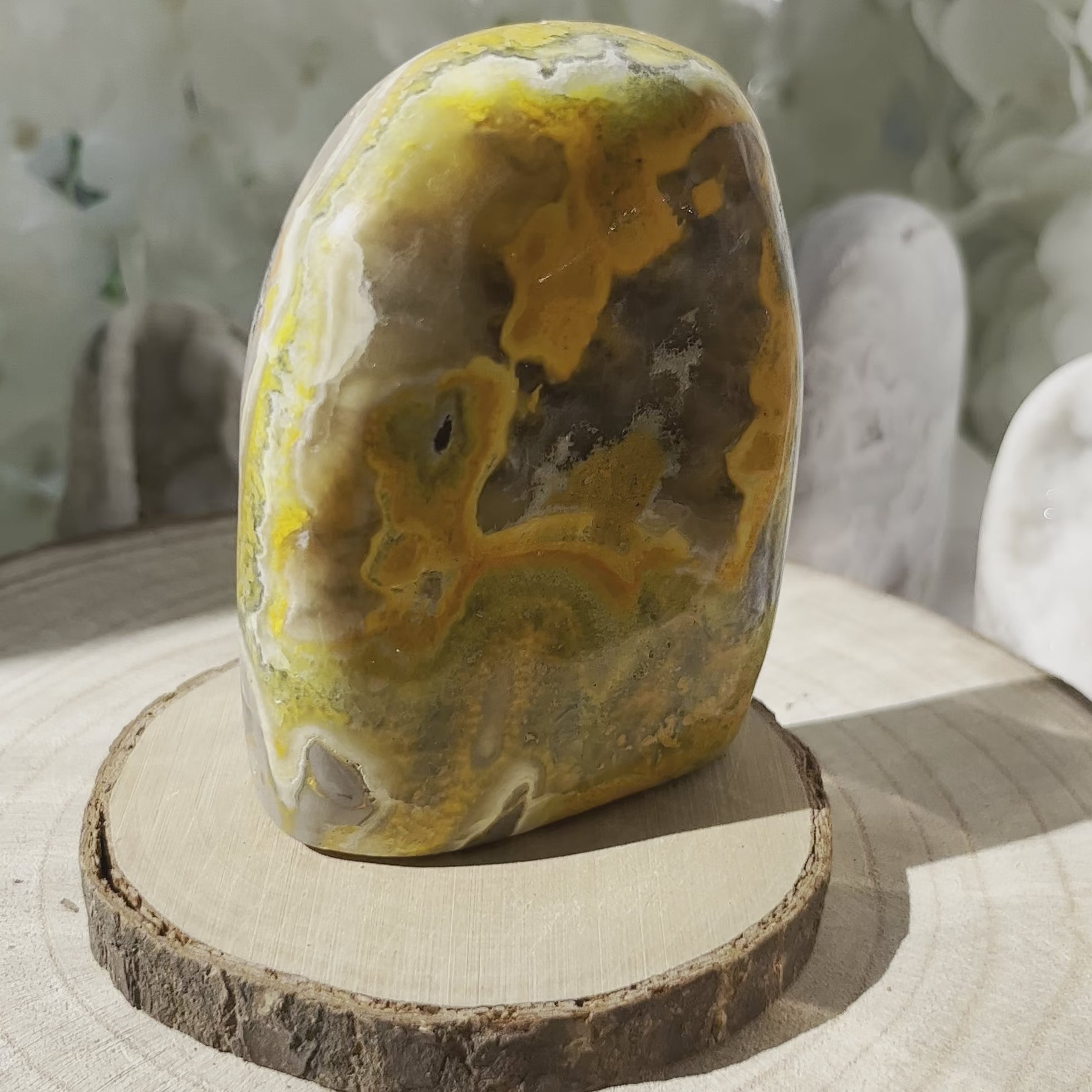 Bumblebee Jasper Freeform