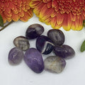 Amethyst Tumblestones (Medium Grade)- Spirituality & Transmutation Extra Small Crystals