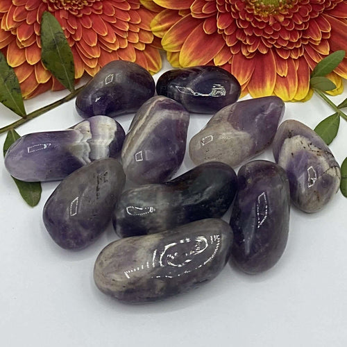 Amethyst Tumblestones (Medium Grade)- Spirituality & Transmutation Medium Crystals