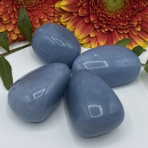 Angelite Tumblestones - Angelic Connection & Harmony Large Crystals