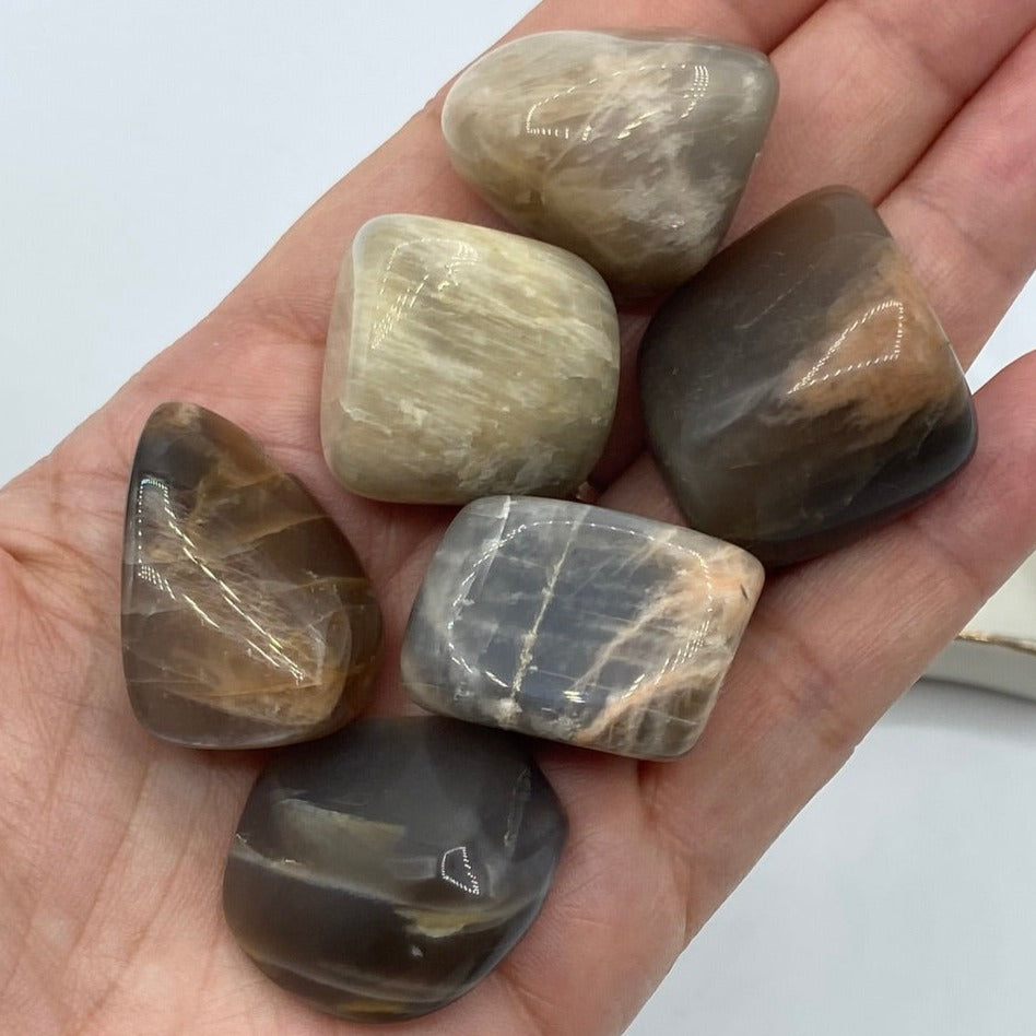 Black Moonstone Tumblestones - New Beginnings & Protection Crystals