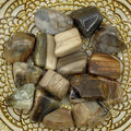 Fossilised Wood Tumblestones - Stability & Grounding Medium Crystals