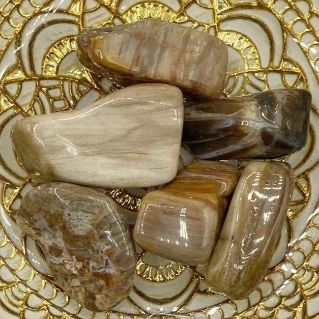 Fossilised Wood Tumblestones - Stability & Grounding Large Crystals