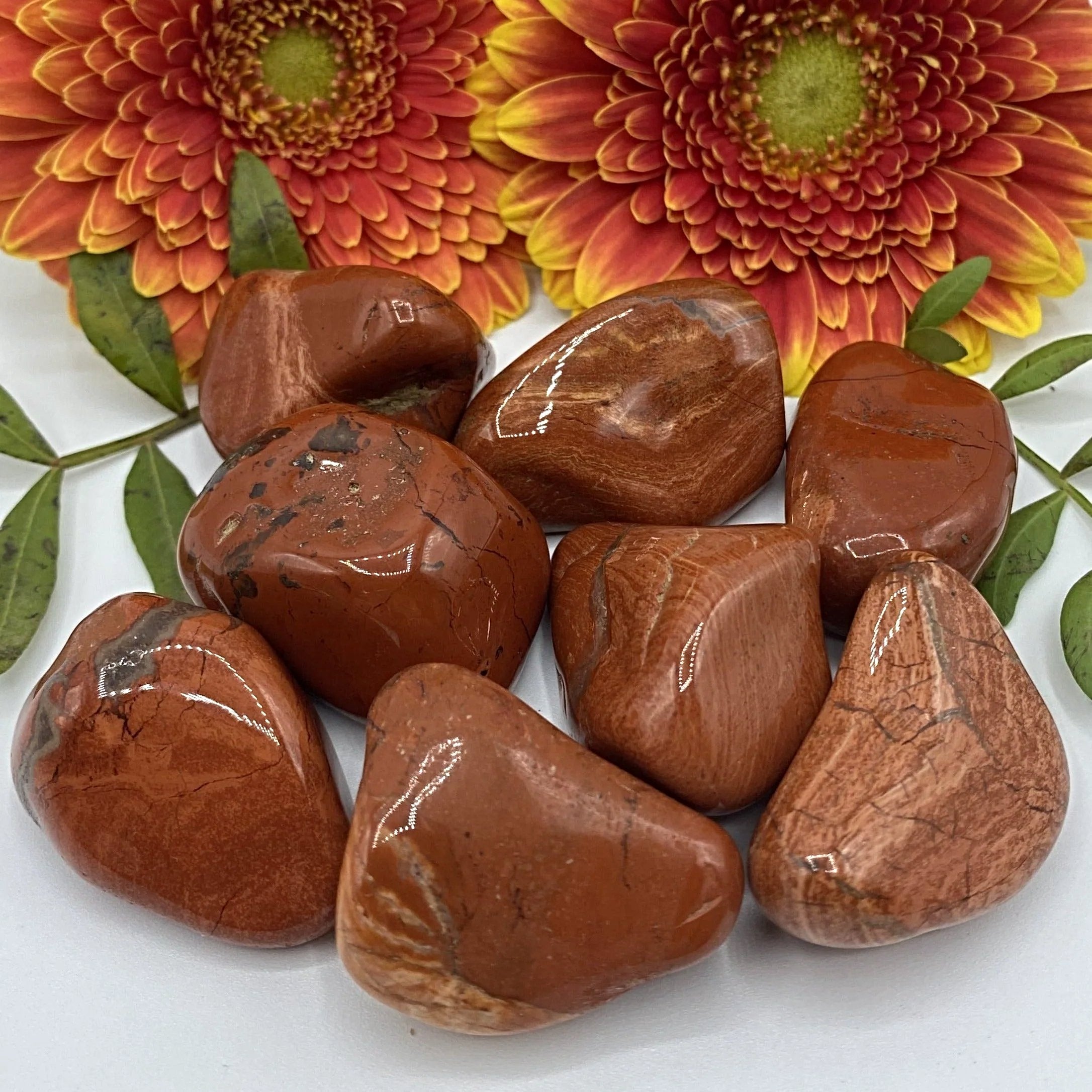 Satin Leaf Jasper Tumblestones Large Crystals