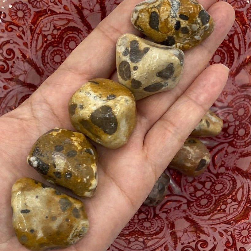 Leopard Skin Jasper Tumblestones - Success & Prosperity Crystals