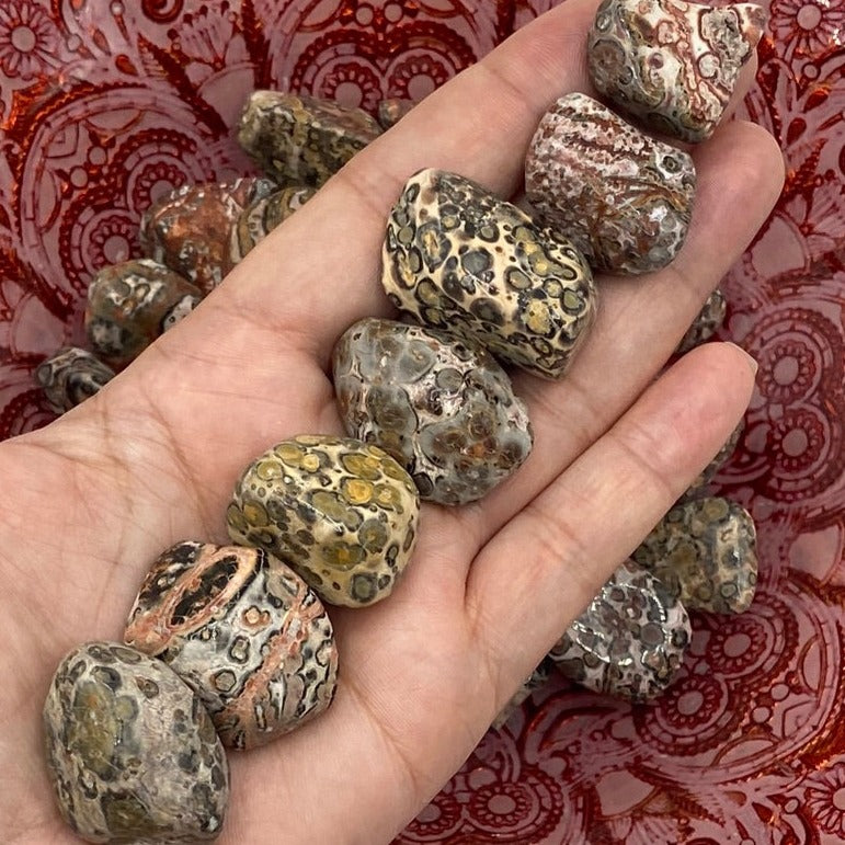 Leopard Skin Jasper Tumblestones - Success & Prosperity Crystals
