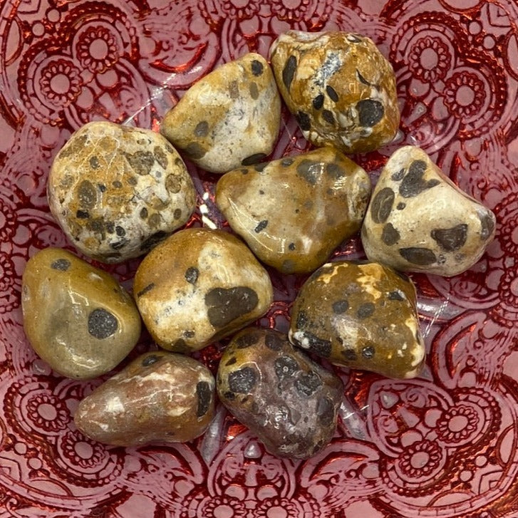 Leopard Skin Jasper Tumblestones - Success & Prosperity Crystals