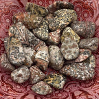 Leopard Skin Jasper Tumblestones - Success & Prosperity Crystals