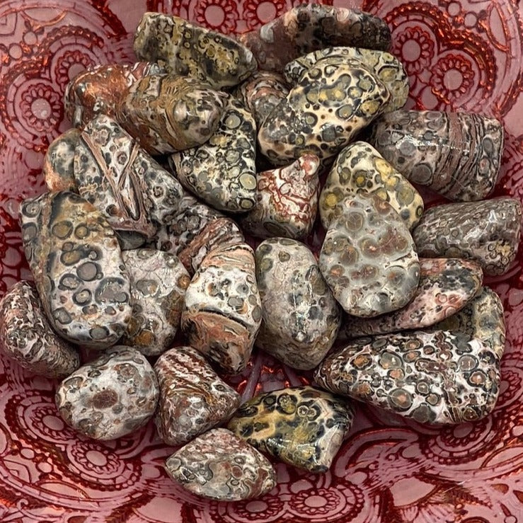 Leopard Skin Jasper Tumblestones - Success & Prosperity Crystals