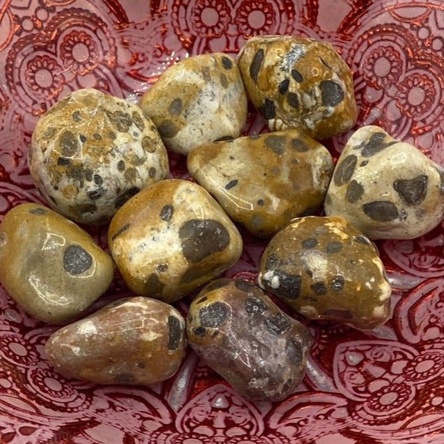 Leopard Skin Jasper Tumblestones - Success & Prosperity Large Crystals
