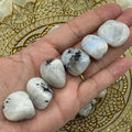 Rainbow Moonstone Tumblestones - Feminine Energy Medium Crystals