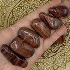 Red Tiger's Eye (Bull/ Dragon's Eye) Tumblestones - Motivation & Courage Large Crystals