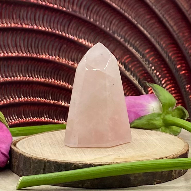 Rose Quartz Polished Point - Universal & Unconditional Love 3- 5cm Crystals