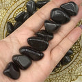 Shungite Tumblestones - Stone of Life & Transmutation Crystals
