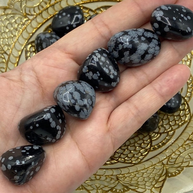 Snowflake Obsidian Tumblestones - Renovation & Personal Strength Medium Crystals