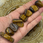 Tiger's Eye Tumblestones - Courage & Protection Crystals