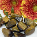 Tiger's Eye Tumblestones - Courage & Protection Small Crystals