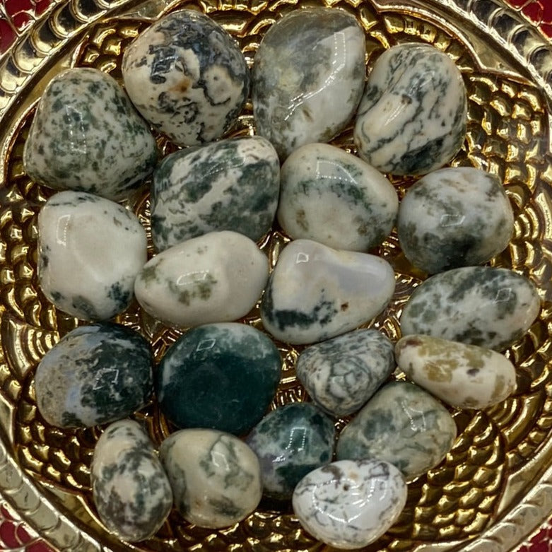 Tree (Dendritic) Agate Tumblestones - Courage & Strength Crystals