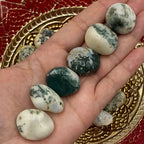 Tree (Dendritic) Agate Tumblestones - Courage & Strength Crystals