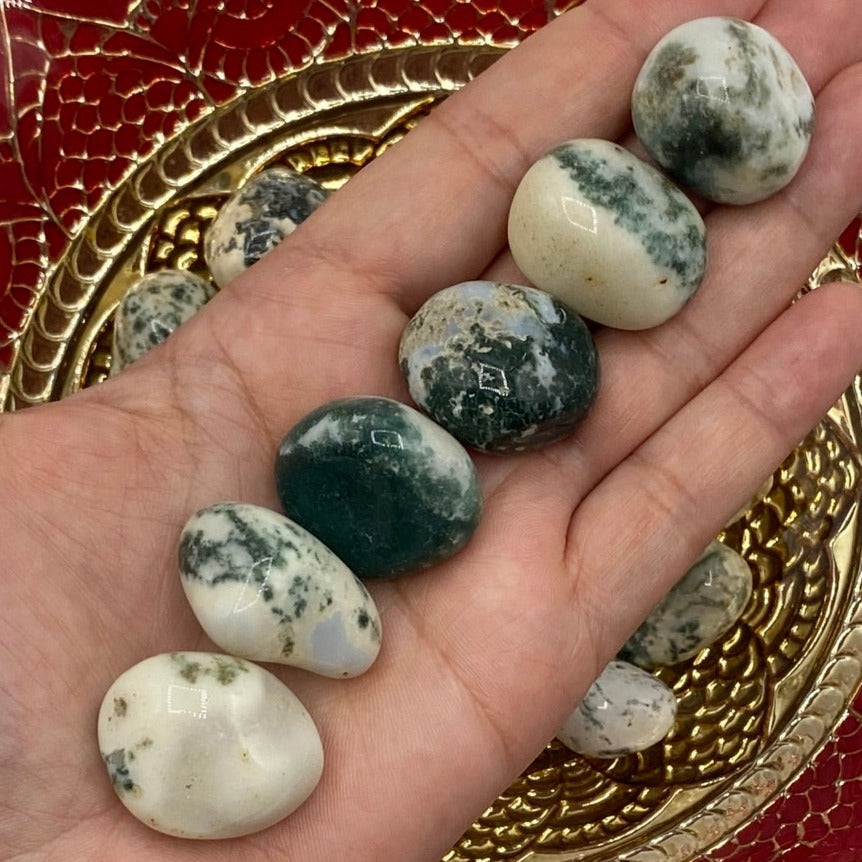 Tree (Dendritic) Agate Tumblestones - Courage & Strength Crystals