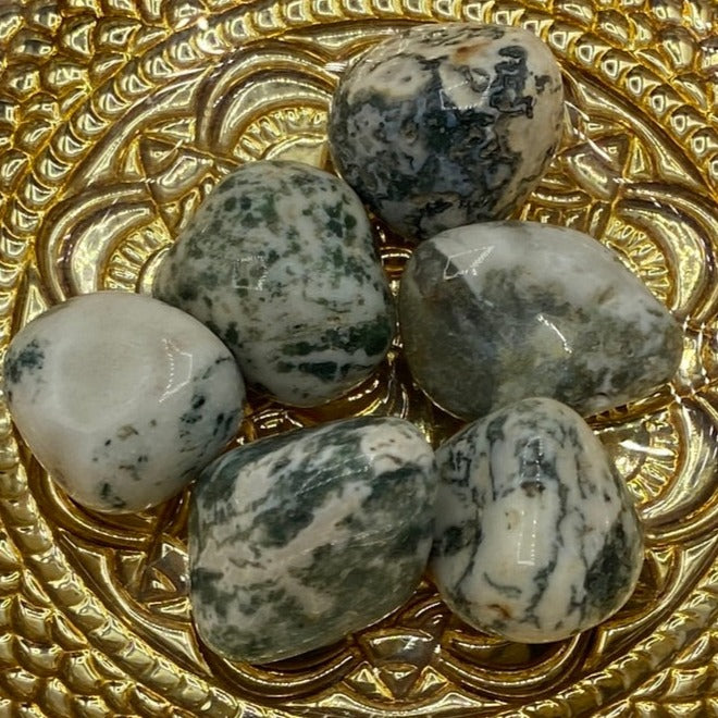 Tree (Dendritic) Agate Tumblestones - Courage & Strength Large Crystals
