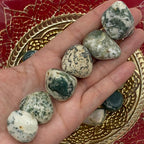 Tree (Dendritic) Agate Tumblestones - Courage & Strength Crystals