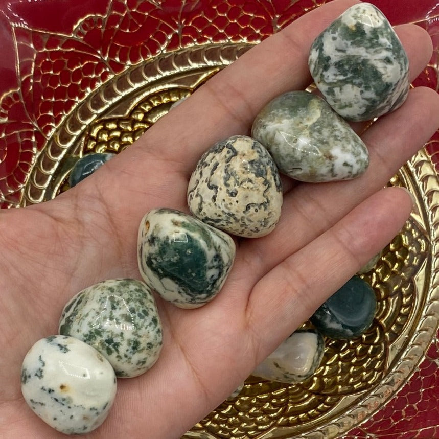 Tree (Dendritic) Agate Tumblestones - Courage & Strength Crystals