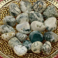 Tree (Dendritic) Agate Tumblestones - Courage & Strength Medium Crystals