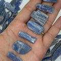 Rough Blue Kyanite Blades - Spiritual Protection 1- 2cm Crystals