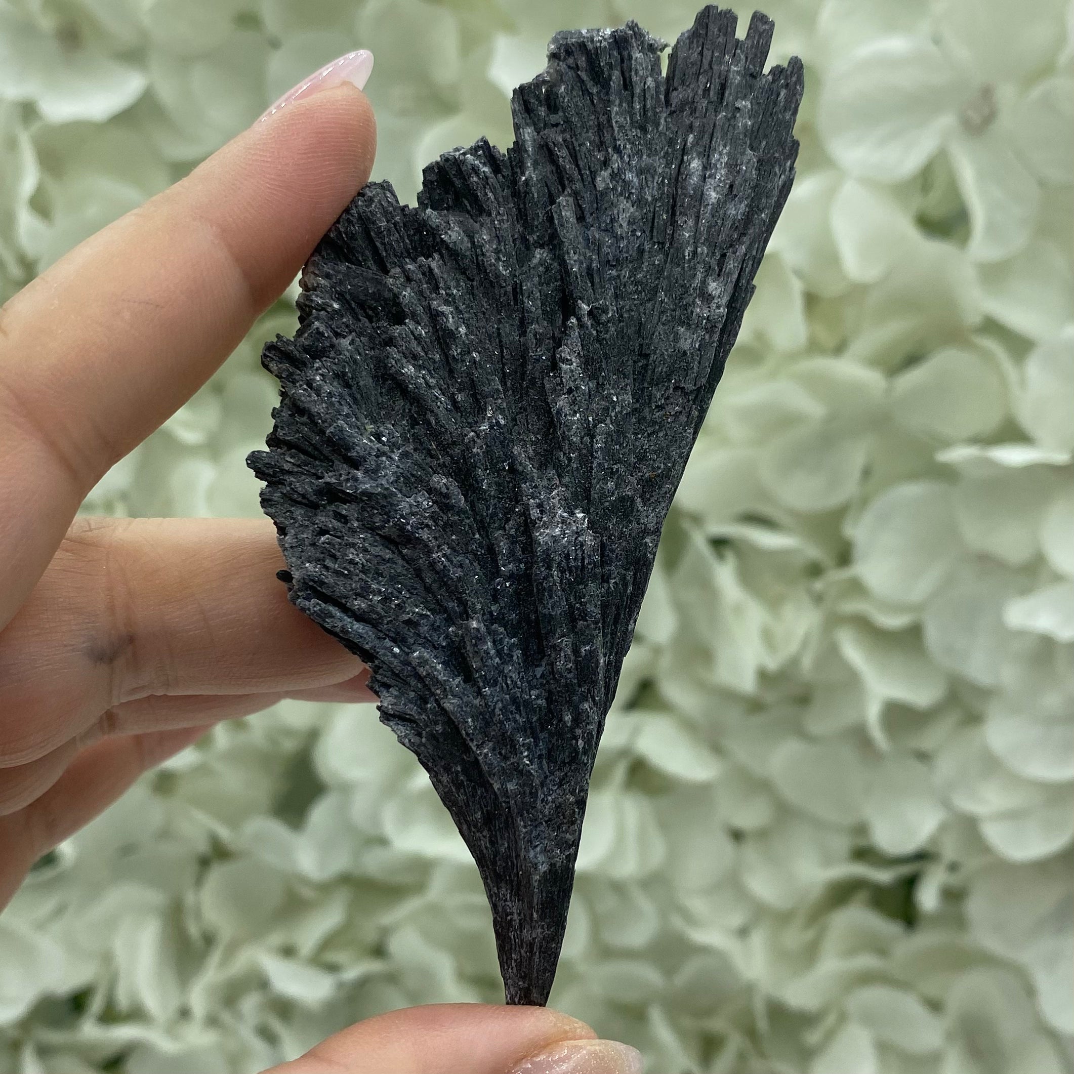Rough Black Kyanite - Grounding & Protection Large Crystals