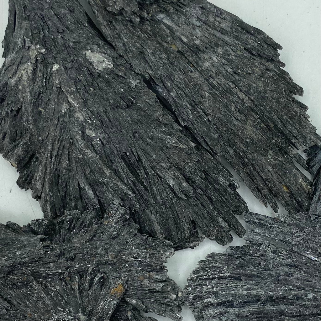Rough Black Kyanite - Grounding & Protection Crystals