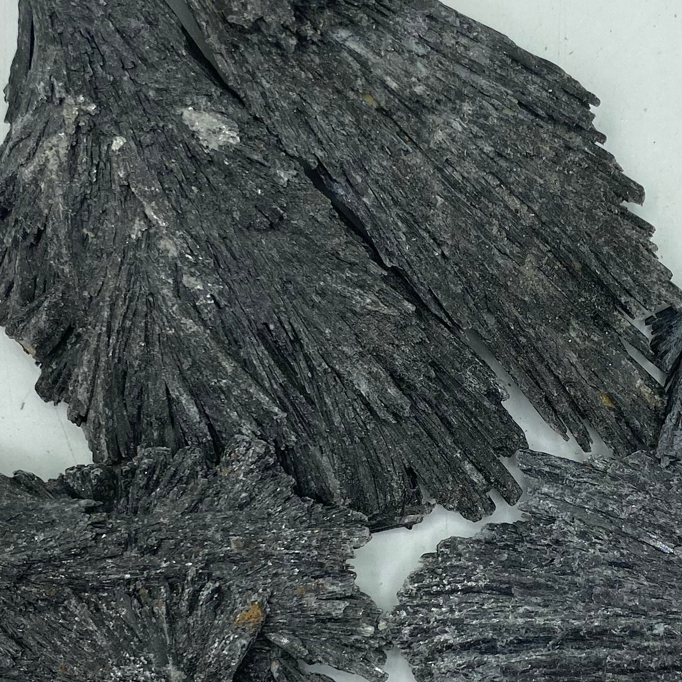 Rough Black Kyanite - Grounding & Protection Crystals