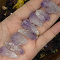 Rough Amethyst Mini Point - Spirituality & Transmutation Extra Small Crystals